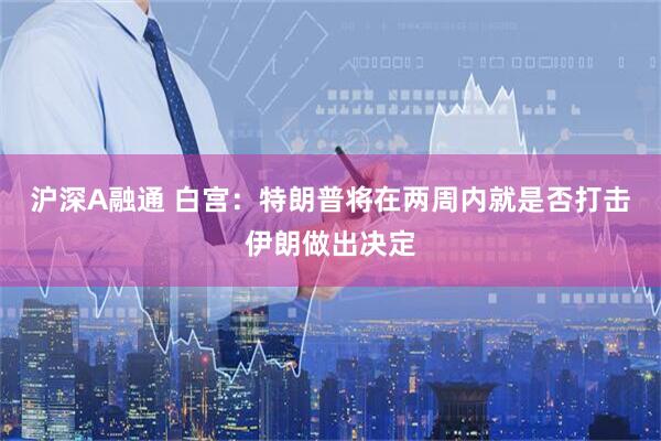 沪深A融通 白宫:特朗普将在两周内就是否打击伊朗做出决定